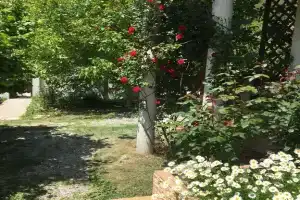 Дом у моря СНТ Прасковеевка, Прасковеевка