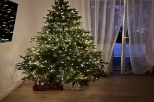 Дом в сосновом лесу