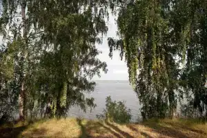 Соколки Вилладж в Верхнеуслонском районе