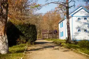 Гостиница «Горный Воздух», Нефтяная