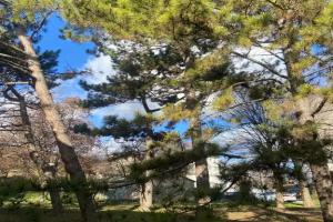 Хостел «Пегас»