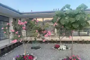 Гостевой дом «MarcoPolo», Судак