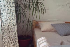 Уютная квартира лето