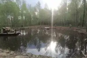 Домик в лесу с баней в Есинке