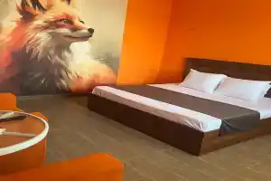 Гостиница «Сова», Аносино