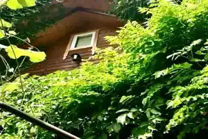 Гостевой дом на Торговой 62, Головинка