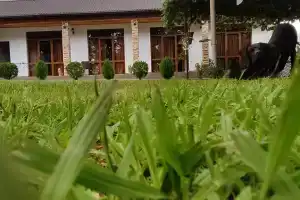 Гостевой дом «House Diamond», Лыхны