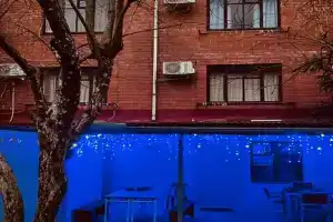 Объект «У Оксаны», Солоники