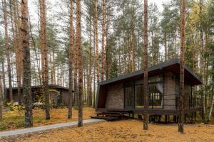 Кемпинг «Вино и Сосны», Покров