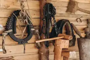 Farm&Village, Чертовицы