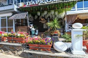 Парк Отель, Железноводск