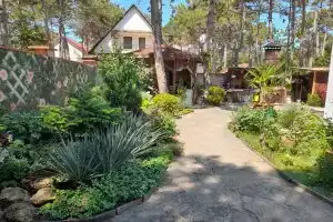 Гостевой дом «В сосновом бору у моря»