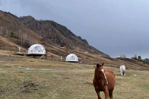Гостевой дом «Cloud Park Altay», Еланда