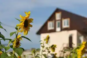 Гостевой дом «Подсолнухи» в Коломенском районе