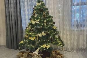 Мини-отель «Континент», Кирсанов