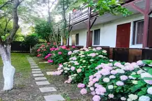 Гостевой дом «Камелия», Пицунда