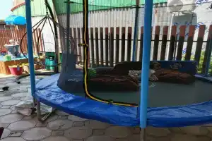 Гостевой дом «Лазурное», Джубга