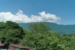 Гостевой дом «Мария», Гагра