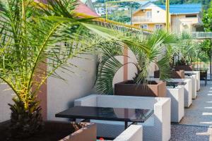 Гостевой дом «Sagrada»