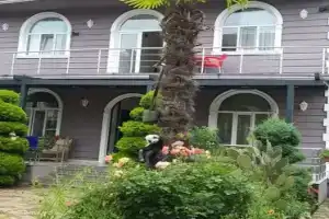 Гостевой дом «Nica», Кобулети