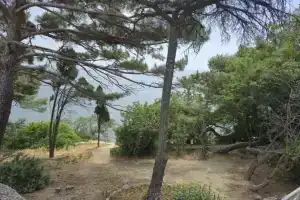 Гостевой дом «Панеа», Симеиз