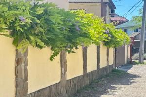 Гостевой дом «У реки», Джубга