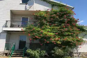 Гостевой дом «Новый берег»