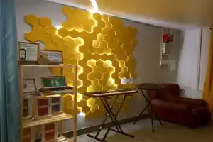 Гостиница «Зеленое солнце», Чернушка