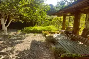 Глэмпинг «ЭКО-Гэмпинг БУНГАЛО»