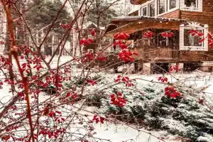 Гостиничный комплекс «Русский», Вязовики