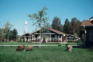 Дом шале Family