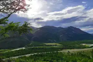 База отдыха «Софийская поляна» в Кош-Агачском районе