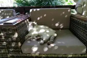 Вилла Мармарис, Рыбачье