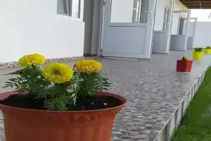 Гостевой дом «Лиза», Гагра