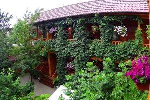 Гостевой дом «Иволга», Коктебель