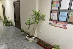 Гостиница «Русь», Краснодар