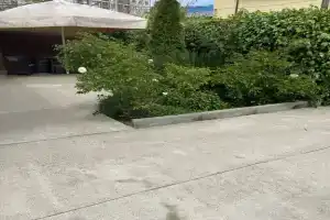 Гостевой дом «Магнолия», Адлер