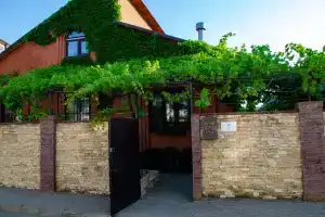 Гостевой дом «Дельфин», Джубга