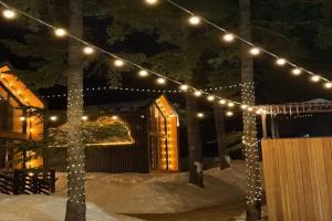 База отдыха «Место под соснами», Домбай