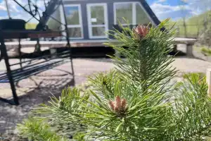 Уютный домик в стиле A-frame