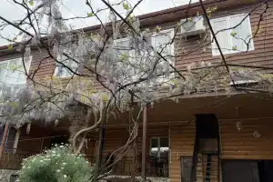 Гостевой дом на Абжуйском шоссе, Сухум