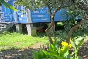 База отдыха «Мария», Агудзера