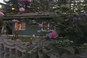 Гостевой дом «Bella», Пицунда