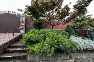 Гостевой дом «Касадор», Адлер