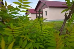 Гостевой дом «Семейный», Чебаркуль