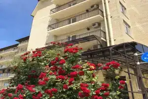 Квартиры-студии «Катран»