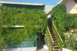 Гостиница «Ландыш», Судак