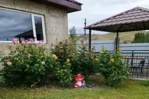 Гостевой дом «Fiesta», Коктебель