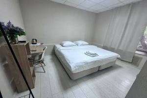 Двухместный номер с 1 кроватью эконом, Москва