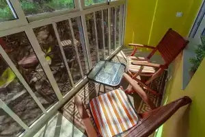 Студия с видом на Сосновый лес!!!, Светлогорск